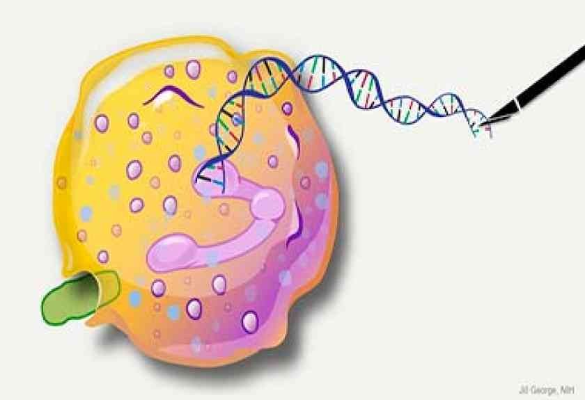 DNA, RNA e Síntese Proteica