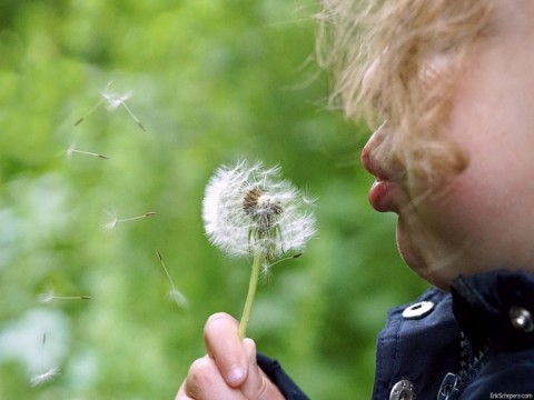 Quais as influencias no desenvolvimento humano?